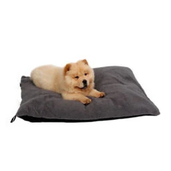 51 Degrees North Sheep Hundekissen -Tierfreunde Günstiges Geschäft 51 degrees north sheep hondenkussen 141479 0500 none