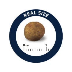 Affinity Advance Veterinary Diets Gastroenteric Hund -Tierfreunde Günstiges Geschäft affinity advance veterinary diets gastroenteric hond 177679 0500 none