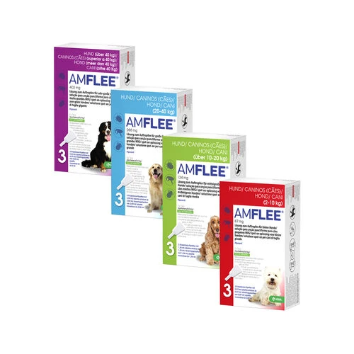 Amflee Spot-on Für Hunde 1 Amflee Spot-on Für Hunde