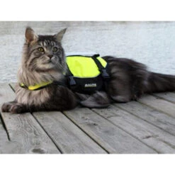 Baltic Katzen-Schwimmweste Maja -Tierfreunde Günstiges Geschäft baltic kattenzwemvest maja 178984 0500 none