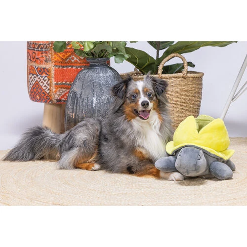 Beeztees Hide And Seek Schildo 3 Beeztees Hide And Seek Schildo – Bild 3