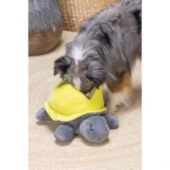 Beeztees Hide And Seek Schildo 7 Beeztees Hide And Seek Schildo -Tierfreunde Günstiges Geschäft beeztees hide and seek schildo 221788 0500 none