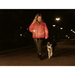 Beeztees Safety Gear Parinca Premium Halsband -Tierfreunde Günstiges Geschäft beeztees safety gear parinca premium halsband 215009 0500 none