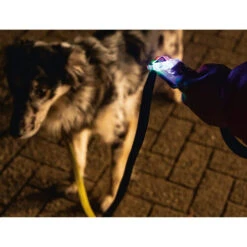 Beeztees Safety Gear Parinca Premium Hundeleine -Tierfreunde Günstiges Geschäft beeztees safety gear parinca premium hondenriem 215036 0500 none