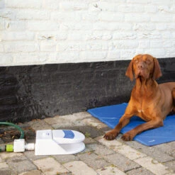 Beeztees Splashy Water Fountain -Tierfreunde Günstiges Geschäft beeztees splashy waterfontein 163285 0500 none