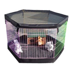 Boon Nagetier- & Kaninchen-Freilaufgehege 13 Boon Nagetier- & Kaninchen-Freilaufgehege -Tierfreunde Günstiges Geschäft boon knaagdieren konijnenren 130808 0500 none