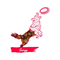 Calibra Dog Expert Nutrition Energy -Tierfreunde Günstiges Geschäft calibra dog expert nutrition energy 163534 0500 none