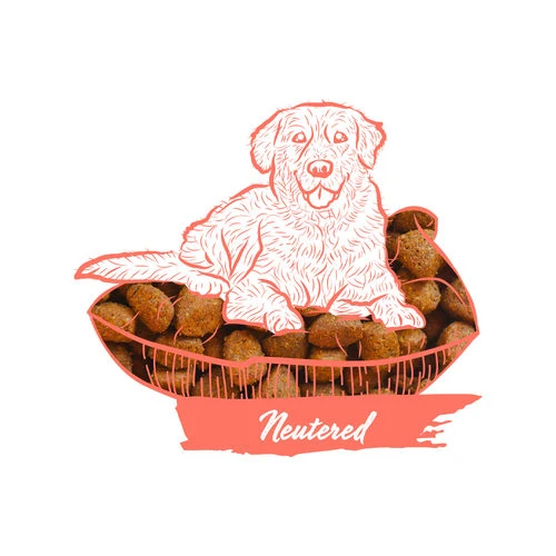 Calibra Dog Expert Nutrition Neutered 2 Calibra Dog Expert Nutrition Neutered – Bild 2