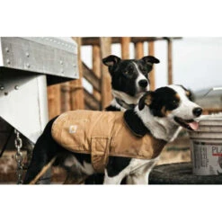 Carhartt Dog Chore Coat -Tierfreunde Günstiges Geschäft carhartt dog chore coat 186748 0500 none
