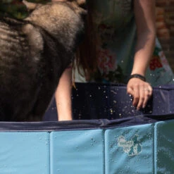 CoolPets Hundepool 8 CoolPets Hundepool -Tierfreunde Günstiges Geschäft coolpets zwembad 198134 0500 none