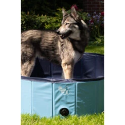 CoolPets Hundepool 7 CoolPets Hundepool -Tierfreunde Günstiges Geschäft coolpets zwembad 198140 0500 none