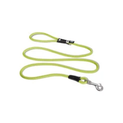 Curli Stretch Comfort Leine -Tierfreunde Günstiges Geschäft curli stretch comfort leash 219163 0500 none