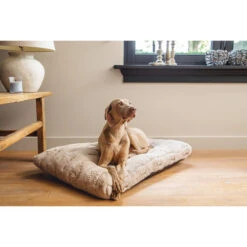 Designed By Lotte Xanti Hundekissen 7 Designed By Lotte Xanti Hundekissen -Tierfreunde Günstiges Geschäft designed by lotte xanti hondenkussen 188124 0500 none