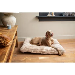 Designed By Lotte Xanti Hundekissen 6 Designed By Lotte Xanti Hundekissen -Tierfreunde Günstiges Geschäft designed by lotte xanti hondenkussen 188127 0500 none