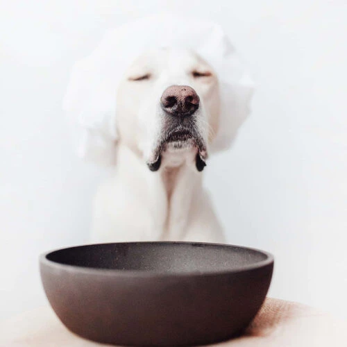 District 70 Bamboo Hundenapf 2 District 70 Bamboo Hundenapf – Bild 2