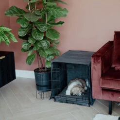 District 70 Sherpa Liegematte -Tierfreunde Günstiges Geschäft district 70 sherpa bench mat 191723 0500 none