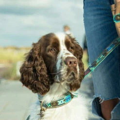 DWAM Halsband Boho Juan -Tierfreunde Günstiges Geschäft dwam halsband boho juan 133658 0500 none