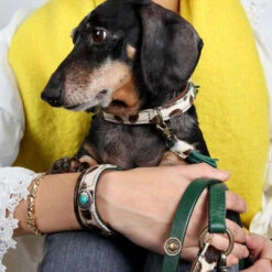 DWAM Halsband Ivy -Tierfreunde Günstiges Geschäft dwam halsband ivy 180688 0500 none