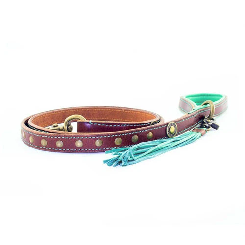 DWAM Hundeleine Joe 1 DWAM Hundeleine Joe