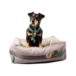 DWAM Jungle Love Korb -Tierfreunde Günstiges Geschäft dwam jungle love mand 186595 0500 none