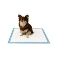 Easypets Trainingpads 7 Easypets Trainingpads -Tierfreunde Günstiges Geschäft easypets trainingspads 184186 0500 none