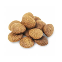 Fish4Dogs Finest Adult Complete - Lachs Große Brocken -Tierfreunde Günstiges Geschäft fish4dogs finest adult complete zalm grote brok 160943 0500 none