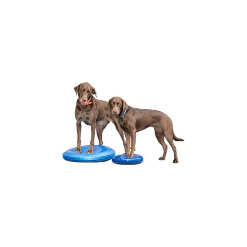 FitPAWS Balance Disk 2 FitPAWS Balance Disk – Bild 2