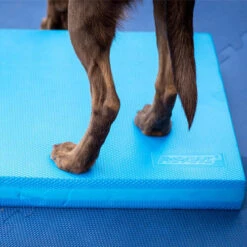 FitPAWS Balance Pad -Tierfreunde Günstiges Geschäft fitpaws balance pad 176131 0500 none