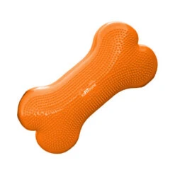 FitPAWS K9Fitbone 13 FitPAWS K9Fitbone -Tierfreunde Günstiges Geschäft fitpaws k9fitbone 103132 0500 none