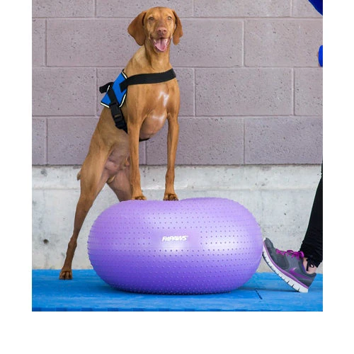 FitPAWS Trax Donut 2 FitPAWS Trax Donut – Bild 2