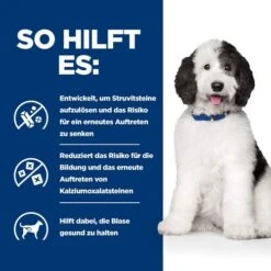 Hill's C/d Urinary Care - Prescription Diet - Canine -Tierfreunde Günstiges Geschäft hills cd urinary care prescription diet canine 217894 0500 none
