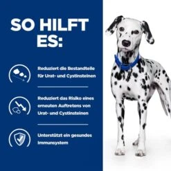 Hill's U/d - Urinary Care - Prescription Diet - Canine 11 Hill's U/d - Urinary Care - Prescription Diet - Canine -Tierfreunde Günstiges Geschäft hills ud urinary care prescription diet canine 218169 0500 none