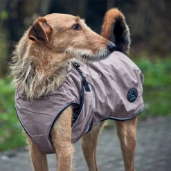 Hunter Hundemantel Uppsala 15 Hunter Hundemantel Uppsala -Tierfreunde Günstiges Geschäft hunter hondemantel uppsala taupe 165685 0500 none
