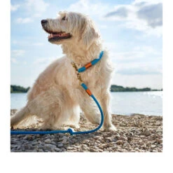 Hunter Verstellbare Führleine Oss -Tierfreunde Günstiges Geschäft hunter verstelbare riem oss 116580 0500 none