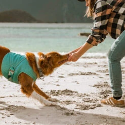 Hurtta Cooling Wrap - Hellblau -Tierfreunde Günstiges Geschäft hurtta cooling wrap lichtblauw 178456 0500 none