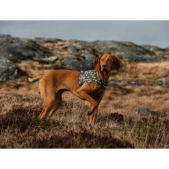 Hurtta Go Geschirr Storm Grey -Tierfreunde Günstiges Geschäft hurtta go harness storm grey 201305 0500 none