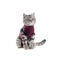 Jacketz Medical Body Suit Für Katzen 8 Jacketz Medical Body Suit Für Katzen -Tierfreunde Günstiges Geschäft jacketz medical body suit kat 154129 0500 none