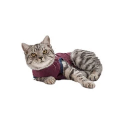 Jacketz Medical Body Suit Für Katzen 9 Jacketz Medical Body Suit Für Katzen -Tierfreunde Günstiges Geschäft jacketz medical body suit kat 154147 0500 none