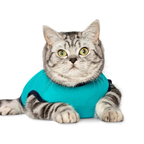 Jacketz Medical Body Suit Für Katzen 6 Jacketz Medical Body Suit Für Katzen – Bild 6