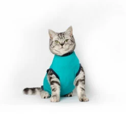 Jacketz Medical Body Suit Für Katzen 10 Jacketz Medical Body Suit Für Katzen -Tierfreunde Günstiges Geschäft jacketz medical body suit kat 209789 0500 none