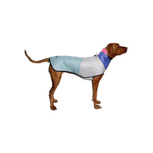 Zee.Dog - 90er Regenjacke 1 Zee.Dog - 90er Regenjacke