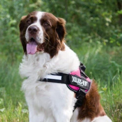 Julius K9 IDC Powergeschirr 16 Julius K9 IDC Powergeschirr -Tierfreunde Günstiges Geschäft julius k9 idc powertuig 192695 0500 none