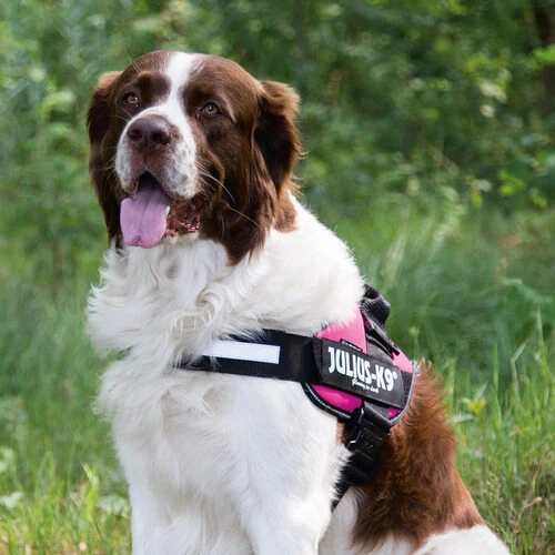 Julius K9 IDC Powergeschirr 7 Julius K9 IDC Powergeschirr – Bild 7