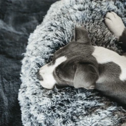 Kentucky Dogwear - Comfort Donut-Hundekorb -Tierfreunde Günstiges Geschäft kentucky dogwear comfort donut hondenmand 219723 0500 none