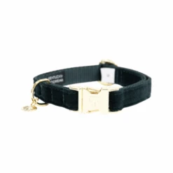 Kentucky Dogwear Corduroy Hundehalsband -Tierfreunde Günstiges Geschäft kentucky dogwear corduroy hondenhalsband 219194 0500 none
