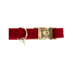 Kentucky Dogwear Corduroy Hundehalsband -Tierfreunde Günstiges Geschäft kentucky dogwear corduroy hondenhalsband 219199 0500 none