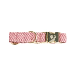 Kentucky Dogwear Hundehalsband Wool -Tierfreunde Günstiges Geschäft kentucky dogwear hondenhalsband wool 219709 0500 none