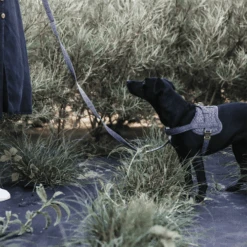 Kentucky Dogwear Hundegeschirr Body Safe Wool -Tierfreunde Günstiges Geschäft kentucky dogwear hondenharnas body safe wool 219214 0500 none