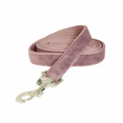Kentucky Dogwear Hundeleine Velvet -Tierfreunde Günstiges Geschäft kentucky dogwear hondenlijn velvet 219297 0500 none