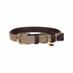 Kentucky Dogwear Nylon Hundehalsband -Tierfreunde Günstiges Geschäft kentucky dogwear nylon hondenhalsband 219176 0500 none